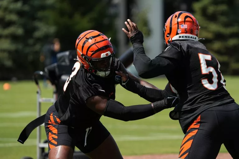 Cincinnati Bengals vs Cleveland Browns prediction