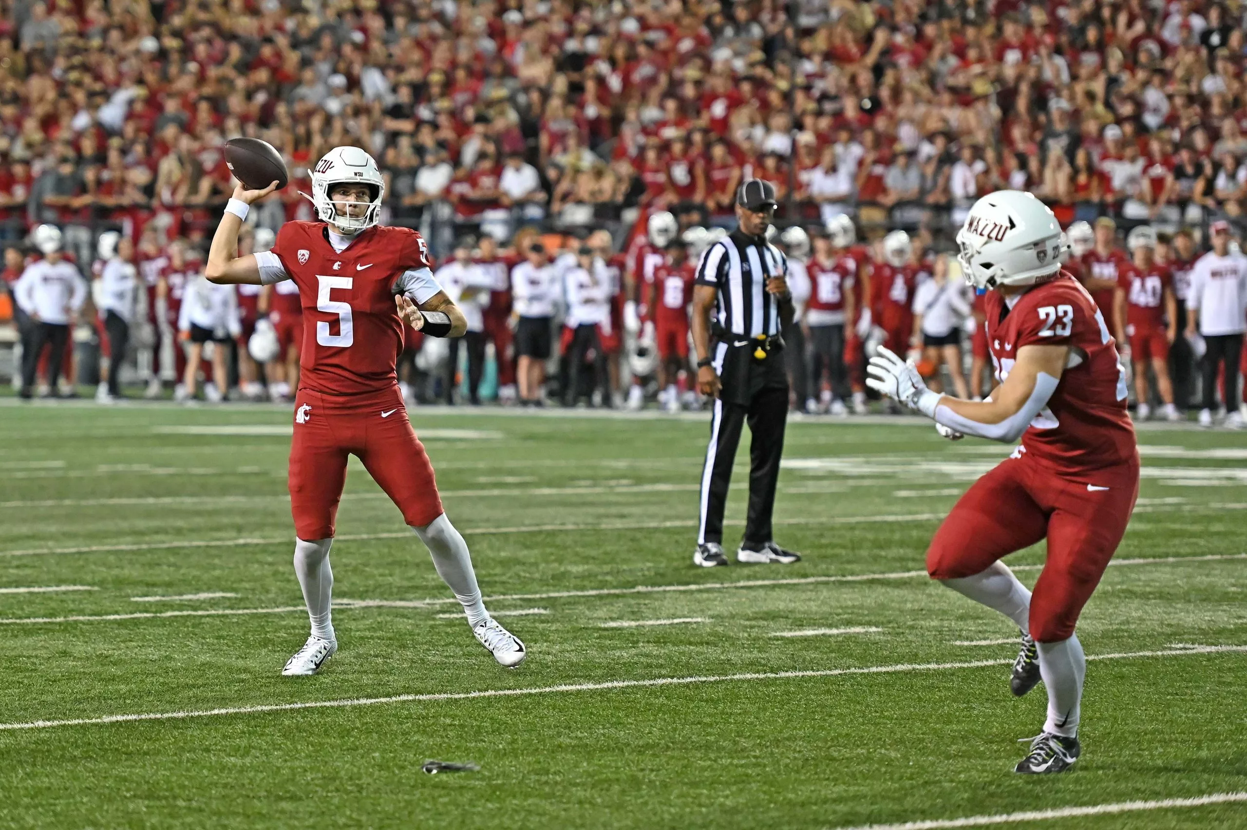 Washington Huskies vs. Washington State Cougars Prediction and Picks - September 20, 2025