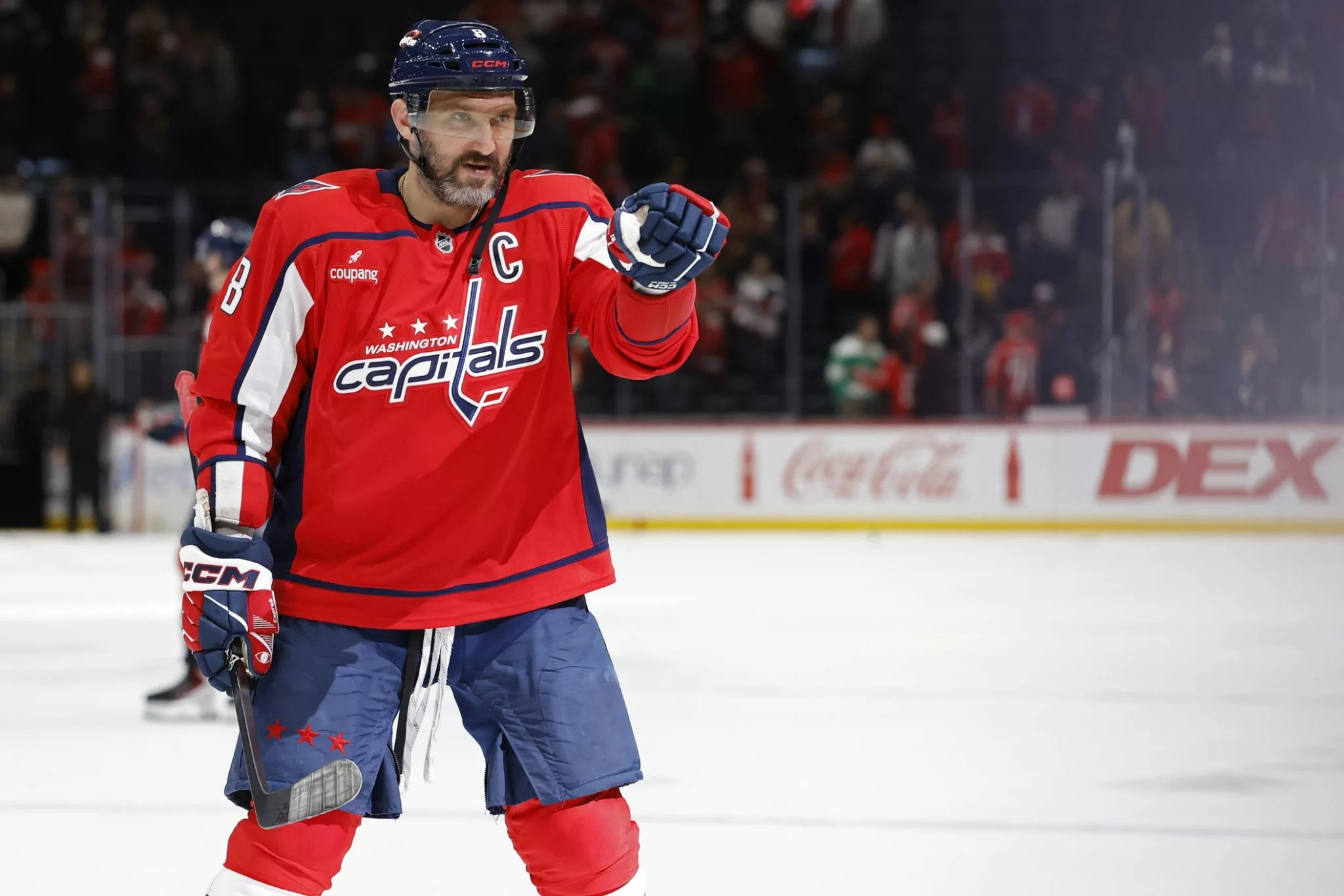 Senators vs Capitals prediction