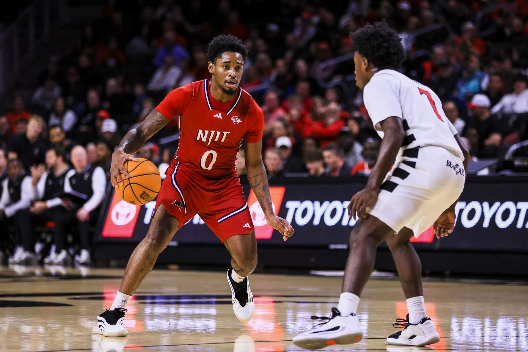 Maine vs NJIT prediction