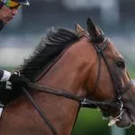 Kentucky Derby Picks, Predictions and Odds For May 2 2026