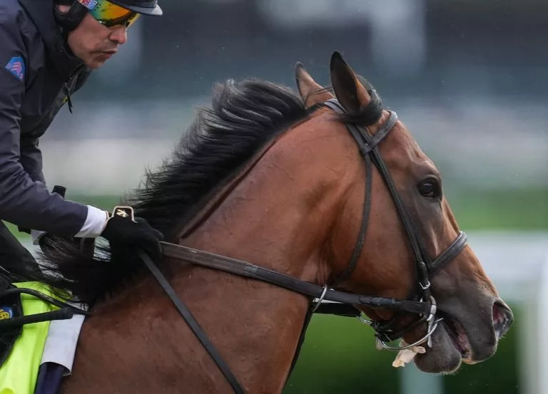 Kentucky Derby picks, predictions and odds - May 2 2026
