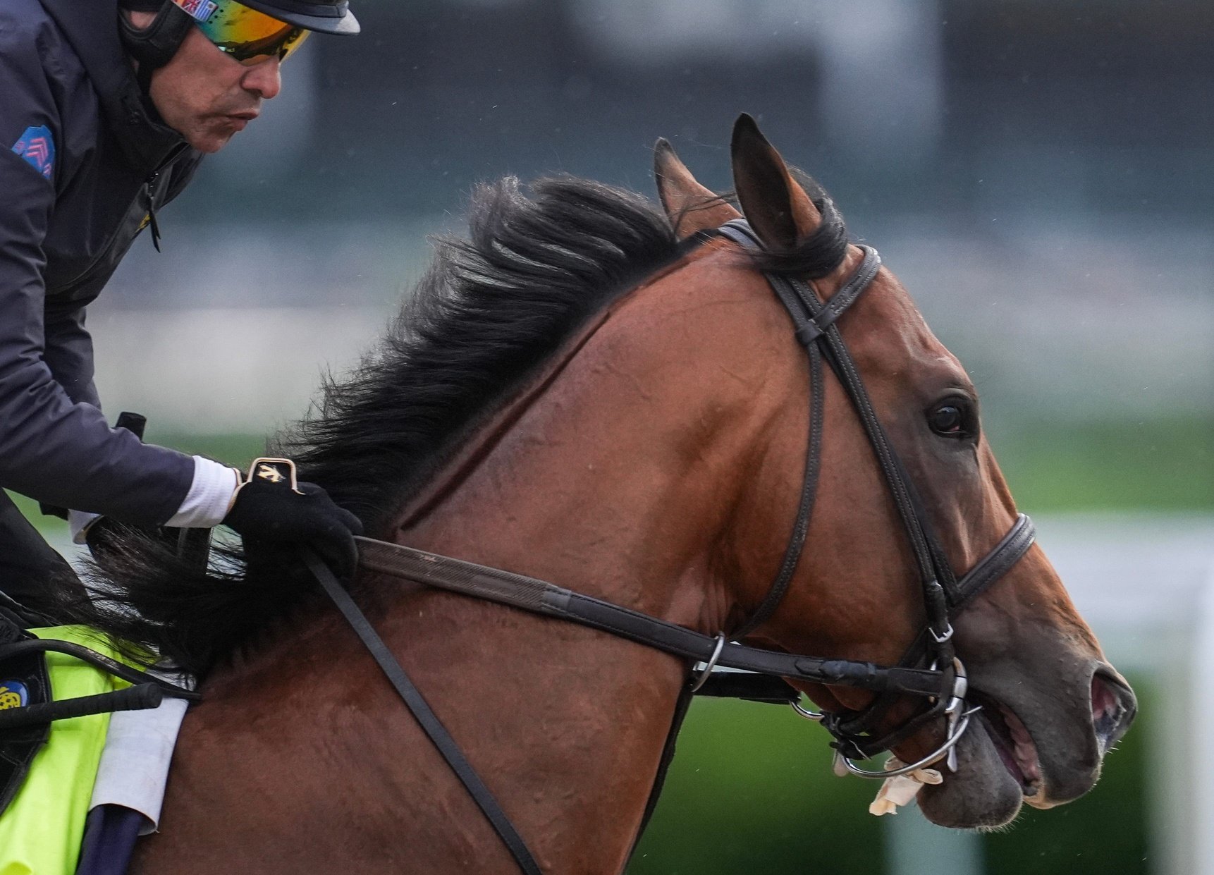 Kentucky Derby Picks, Predictions and Odds For May 2 2026